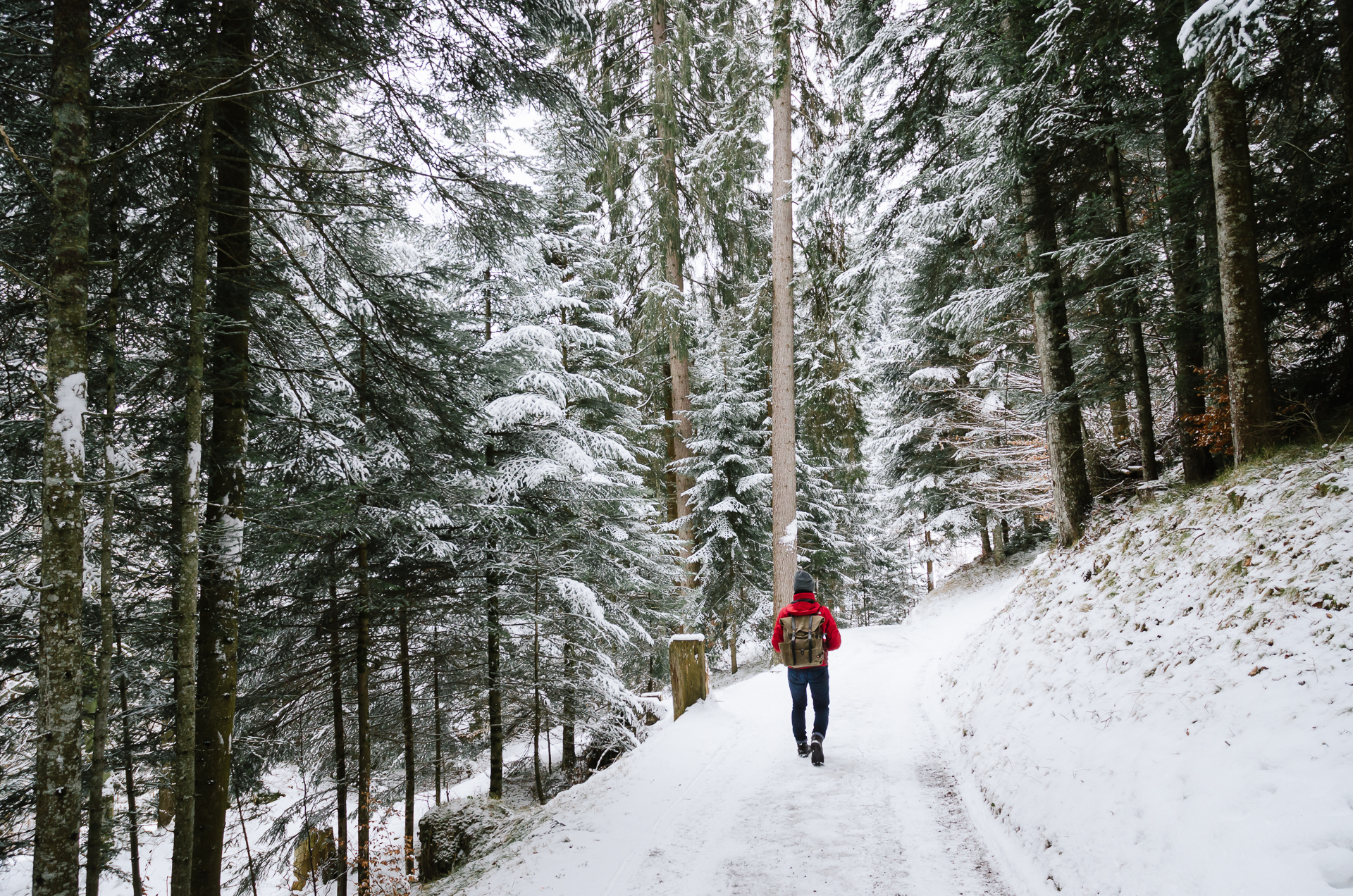 Conn, Il Spir, Switzerland, Graubunden