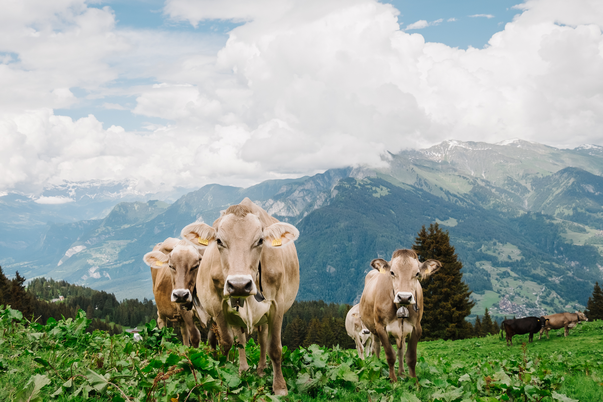 Chur, Graubunden, Switzerland