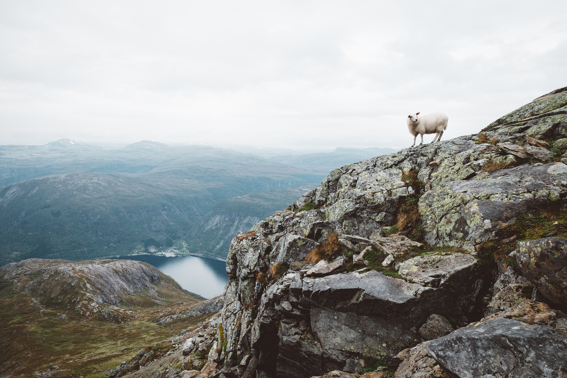 Mount Oksen trail - outdoor trip in Hardangerfjord - stunning view